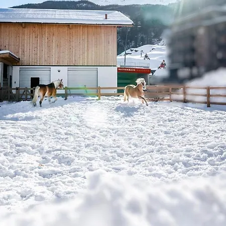 Lejlighed Martinus *