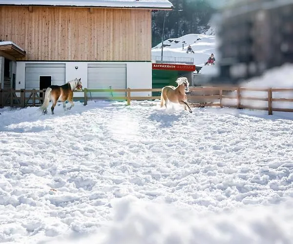Apartmán Martinus *