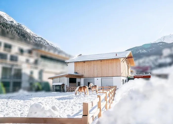 Martinus Apartamento