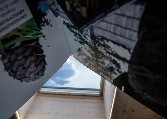 Martinus * Ζόλντεν